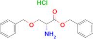 O-Benzyl-D-serine benzyl ester hydrochloride