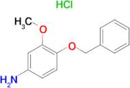 4-Benzyloxy-3-methoxy-phenylaminehydrochloride