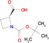 (S)-1-Boc-Azetidine-2-carboxylic acid