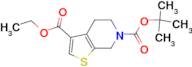 N-Boc-4,5,6,7-Tetrahydro-thieno[2,3-c]pyridine-3-carboxylic acid ethyl ester