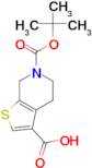 6-Boc-4,5,6,7-Tetrahydro-thieno[2,3-c]pyridine-3-carboxylic acid