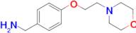 4-(2-Morpholin-4-yl-ethoxy)benzylamine