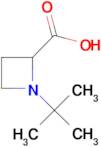 1-tert-Butyl-azetidine-2-carboxylic acid