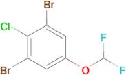 1,3-Dibromo-2-chloro-5-(difluoromethoxy)benzene