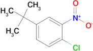 4-Chloro-3-nitro-tert-butylbenzene