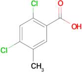 2,4-Dichloro-5-methylbenzoic acid