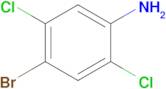 4-Bromo-2,5-dichloroaniline