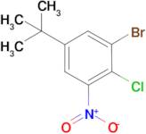 3-Bromo-4-chloro-5-nitrotertbutylbenzene