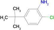 2-Chloro-5-tert-butylaniline