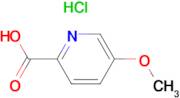 5-Methoxypyridine-2-carboxylic acid hydrochloride