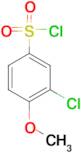 3-Chloro-4-methoxybenzenesulfonylchloride