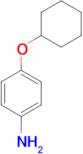4-Cyclohexyloxyaniline