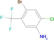 5-Amino-2-bromo-4-chlorobenzotrifluoride