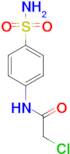 2-Chloro-N-(sulfamoylphenyl)acetamide