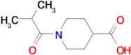 1-Isobutyrylpiperidine-4-carboxylic acid