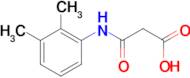 3-[(2,3-Dimethylphenyl)amino]-3-oxopropanoic acid