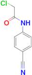 2-Chloro-N-(4-cyano-phenyl)-acetamide