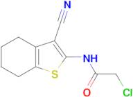 2-Chloro-N-(3-cyano-4,5,6,7-tetrahydro-1-benzothiophen-2-yl)acetamide