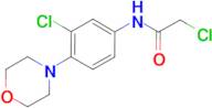 2-Chloro-N-(3-chloro-4-morpholin-4-yl-phenyl)-acetamide