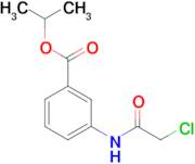 3-(2-Chloro-acetylamino)-benzoic acid isopropyl ester