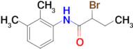 2-Bromo-N-(2,3-dimethyl-phenyl)-butyramide