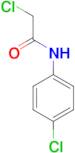 N1-(4-Chlorophenyl)-2-chloroacetamide