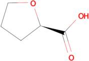 D-Tetrahydro-furan-2-carboxylic acid