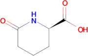 D-6-Oxo-pipecolinic acid