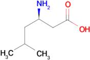 (R)-3-Amino-5-methyl-hexanoic acid
