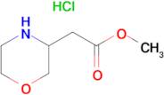 Morpholine-3-acetic acid methyl ester hydrochloride