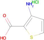 3-Amino-thiophene-2-carboxylic acid hydrochloride