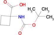 1-N-Boc-amino-cyclobutane carboxylic acid