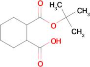 Cyclohexane-1,2-dicarboxylic acid mono-tert-butylester