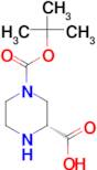 (R)-4-N-Boc-piperazine-2-carboxylic acid