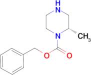 (S)-1-N-Cbz-2-Methyl-piperazine