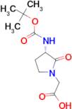 (S)-(3-N-Boc-Amino-2-oxo-pyrrolidin-1-yl)-acetic acid