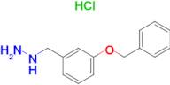 (3-Benzyloxy-benzyl)-hydrazine hydrochloride