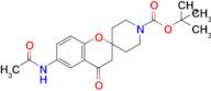 6-Acetylamino-4-oxo-2-spiro(N-Boc-piperidine-4-yl)-benzopyran