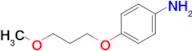 4-(3-Methoxypropoxy)aniline