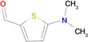 5-Dimethylamino-thiophene-2-carbaldehyde