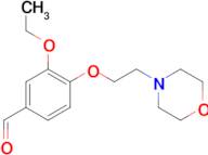 3-Ethoxy-4-[2-(morpholin-4-yl)ethoxy]benzaldehyde