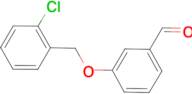 3-(2-Chloro-benzyloxy)-benzaldehyde