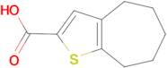 5,6,7,8-Tetrahydro-4H-cyclohepta[b]thiophene-2-carboxylic acid