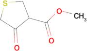 Methyl 4-Oxotetrahydrothiophene-3-carboxylate