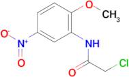 2-Chloro-N-(2-methoxy-5-nitrophenyl)acetamide