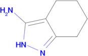 4,5,6,7-Tetrahydro-2H-indazol-3-amine