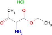 Ethyl 2-amino-3-oxobutanoate hydrochloride