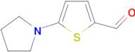 5-(1-Pyrrolidinyl)-2-thiophenecarbaldehyde