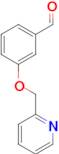 3-(Pyridin-2-ylmethoxy)benzaldehyde