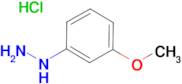 3-Methoxyphenylhydrazine hydrochloride